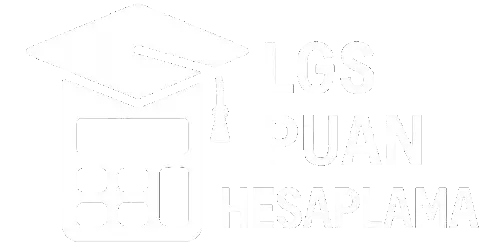 LGS PUAN HESAPLAMA